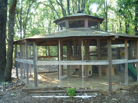 Large Outside Cat Enclosure | Images and Photos finder