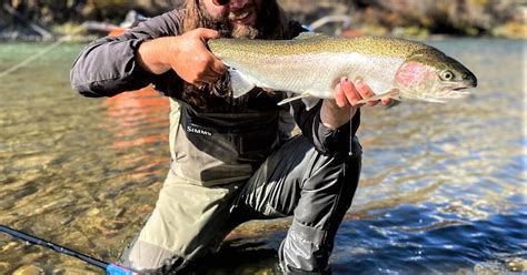 Oct. 24 Upper Salmon River Weekly Steelhead Fishing Report | Idaho Fish ...