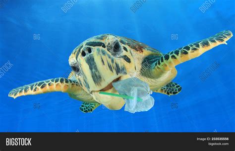 Plastic Underwater Image & Photo (Free Trial) | Bigstock