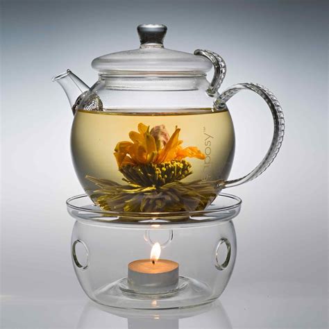 Light My Fire Glass Tea Warmer - teaposy.com