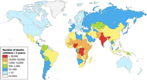 Global E.coli Outbreaks - Safe Food Alliance