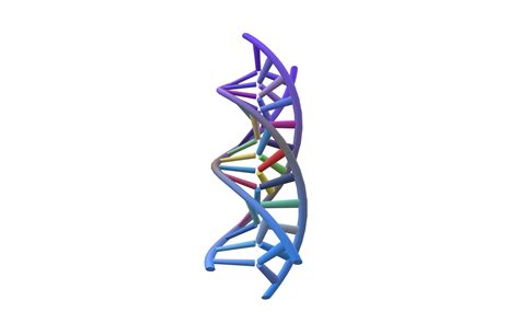 Triple Helix DNA v1 006 3D model | CGTrader