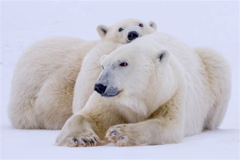 Wapusk National Park, Manitoba