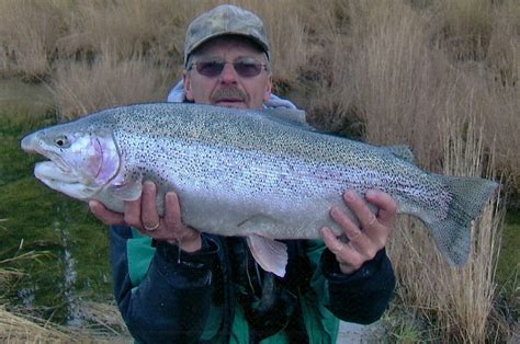 Alaska Trout Fishing | Charters & Day Trips | Call 888-283-4002