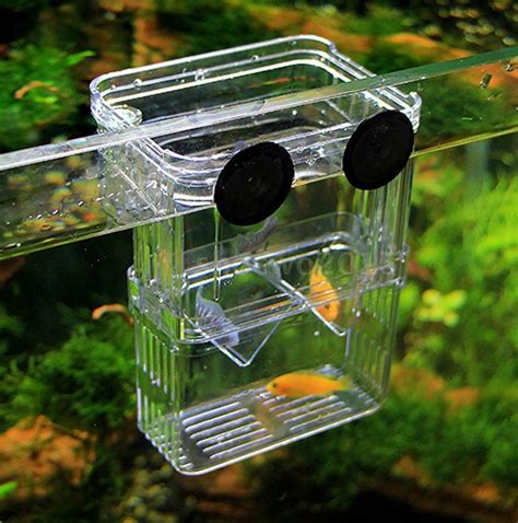 Aquarium Fish Tank Hatchery Breeding Box Fry Trap - Hidom BX-003 – Pond-orbis