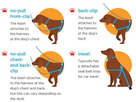 Dog Harness Safety