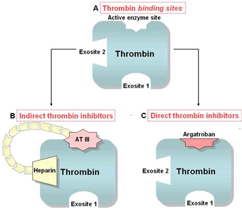 Schematic of thrombin binding sites (a), and indirect and direct ...