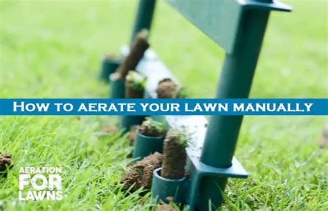 How To Aerate Your Lawn Manually by Hand in 3 Best Ways - Lawn Garden Tips