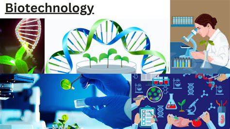 Biotechnology I Promising Solution-Environmental Pollution