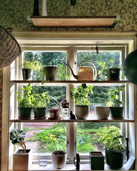 How to Make Your Own Kitchen Window Herb Garden | The Kitchn