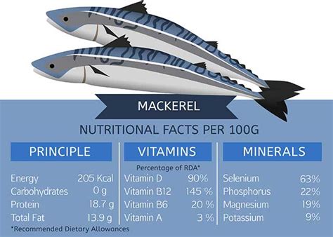 9 Health Benefits of Mackerel (and Full Nutrition Facts) - Nutrition Advance