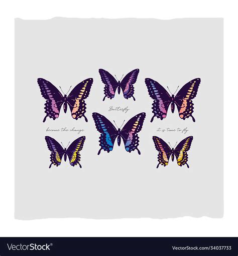 Butterfly abstract Royalty Free Vector Image - VectorStock