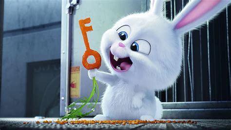 HD wallpaper: Snowball from Secret Life of Pets, the secret life of ...