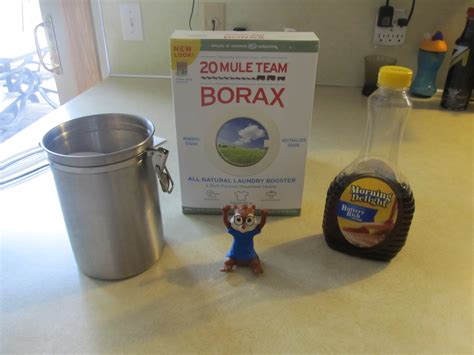 Step-by-Step Instructions - Borax Ant Killer