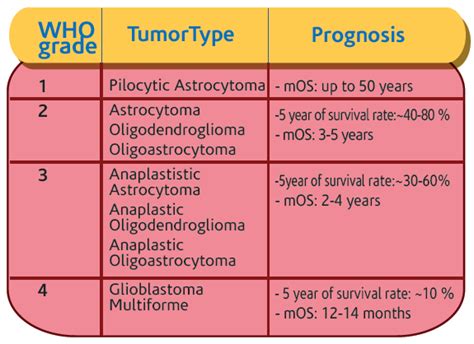 Glioma - Etymology, Anatomy and Essential Information