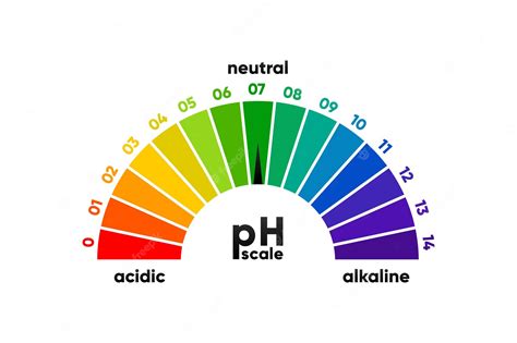 Premium Vector | PH scale meter for acidic and alkaline solutions Acidbase balance scale ...