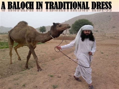 Baloch culture ppt | PPT