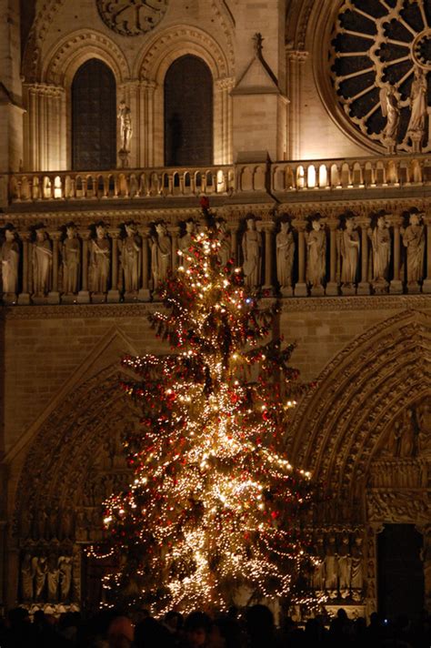 Paris Christmas Tree Pictures, Photos, and Images for Facebook, Tumblr ...