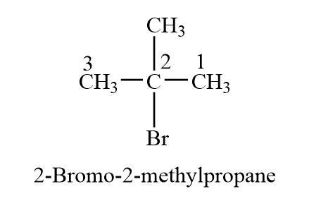 C4h9br Isomers