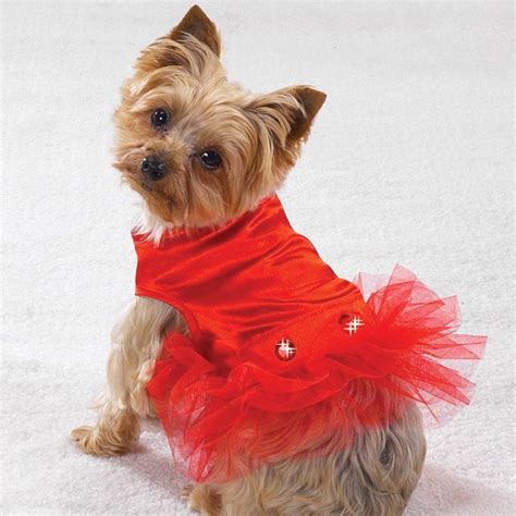 puppy tutu | Dog clothes boutique, Fancy dog clothes, Dog clothes