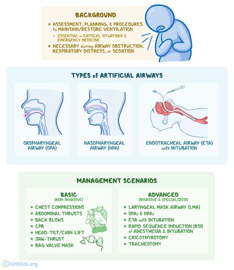 Airway Management: What Is It, When It Is Required | Osmosis