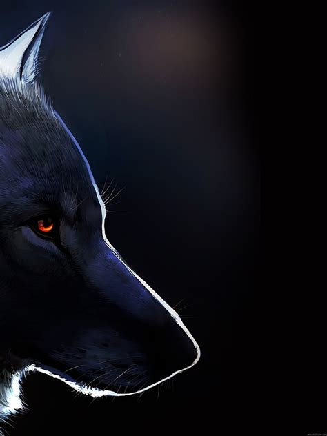 Lone Wolf Wallpaper (57+ images)