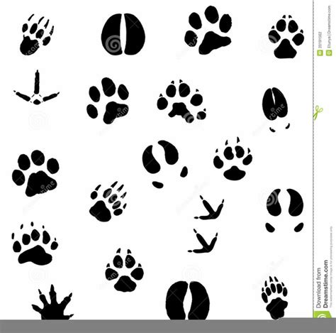 Lion Footprint Clipart | Free Images at Clker.com - vector clip art online, royalty free ...