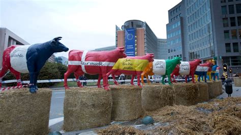 Thousands of EU farmers protest price slump | CTV News