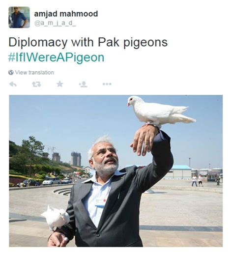 Pakistanis respond after 'spy pigeon' detained in India - BBC News