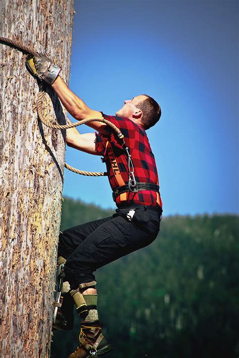 lumberjack competition canada - Google Search | Lumberjack competition, Grouse mountain ...