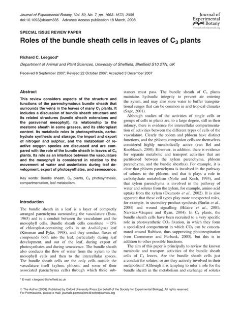 Roles of the bundle sheath cells in leaves of C3 plants (PDF Download Available)