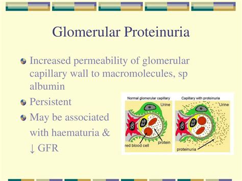 PPT - Proteinuria in the Diagnosis & Management of Kidney Disease PowerPoint Presentation - ID ...