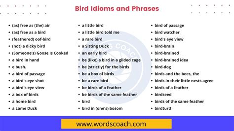 Bird Expressions Sayings