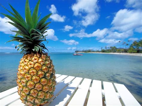 Pineapple Desktop Wallpaper