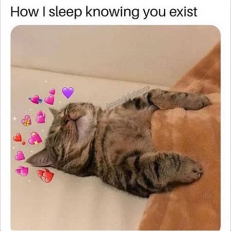 How I Sleep Knowing Meme Template