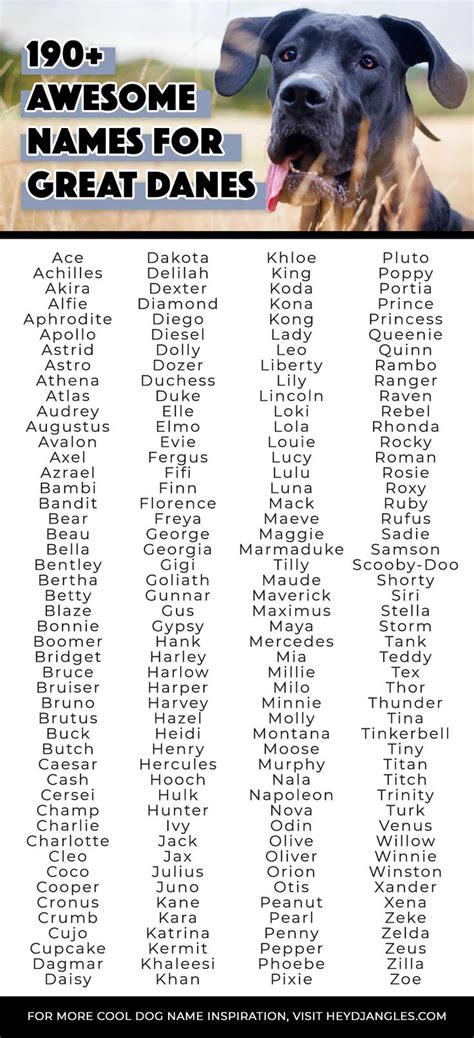 190+ Awesome Names for Great Danes (Female and Male) - Hey, Djangles ...