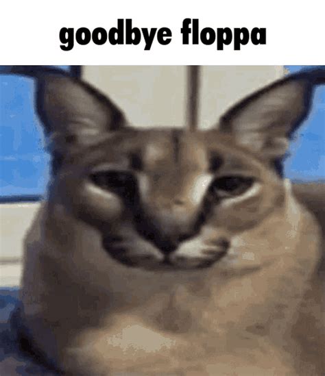 854 best Floppa images on Pholder | Bigfloppa, 196 and Furry