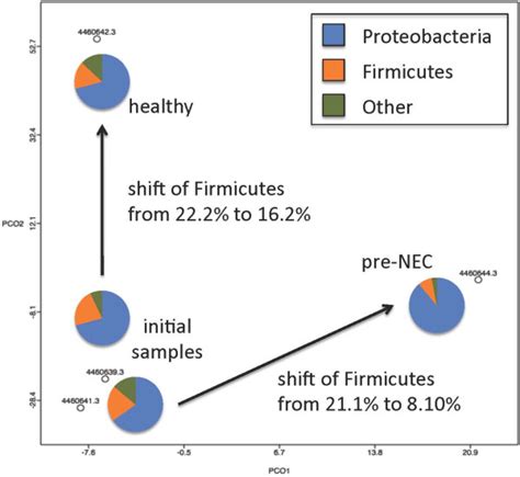 Analysis of microbial communities by shotgun metagenomics between two... | Download Scientific ...