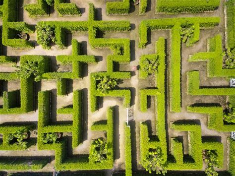 Aerial view of green maze garden Photo | Premium Download