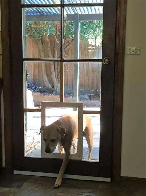 Storm Door With Dog Door For Large Dog - Storm Doors