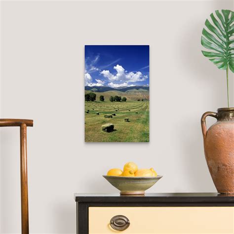 Timothy hay bales near Dubois, Wyoming Wall Art, Canvas Prints, Framed Prints, Wall Peels ...