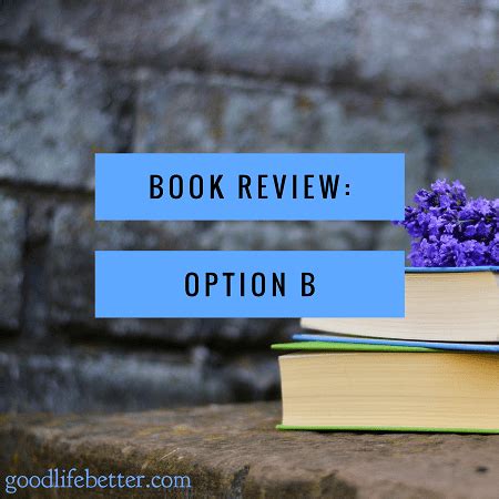 Book Review: Option B | Good Life. Better.