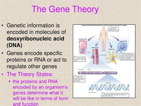 PPT - The Science of Biology PowerPoint Presentation, free download - ID:310460