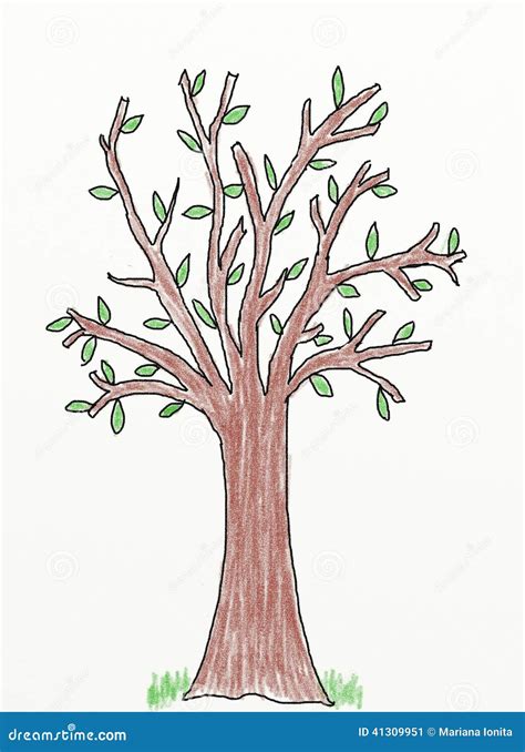 Tree - Children Drawing Stock Illustration - Image: 41309951