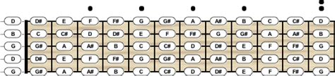 Banjo Tuning - Chord Scale Generator