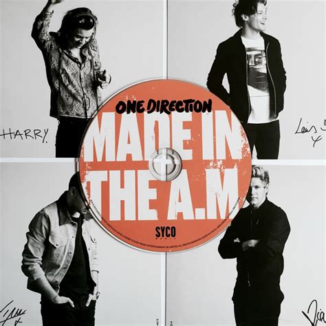 Made In The AM - One Direction | Review - Everything Erin