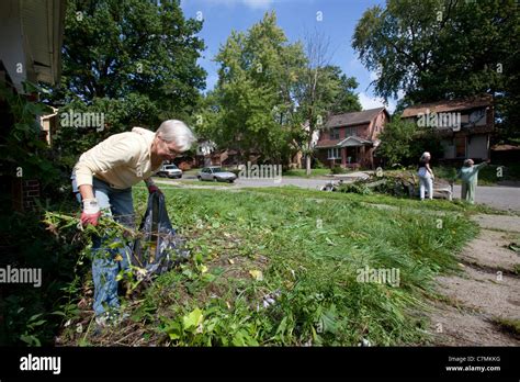 Detroit, Michigan - Members of the Three Mile Drive block club clean trash and weeds from a ...