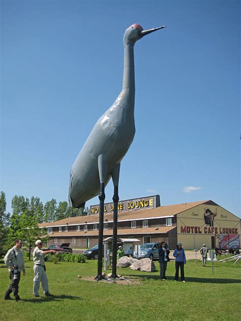 Giant Sandhill Crane