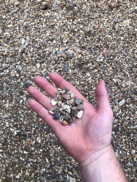 Pea shingle/golden gravel | in Windsor, Berkshire | Gumtree