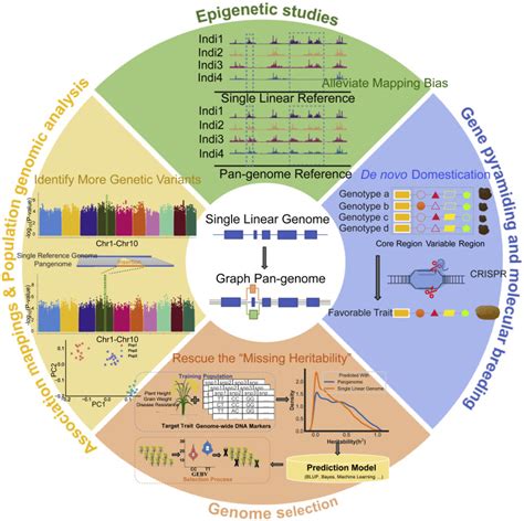 Plant pan-genomics and its applications: Molecular Plant